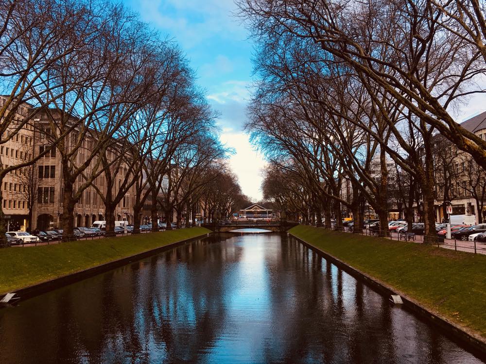 A city canal with trees