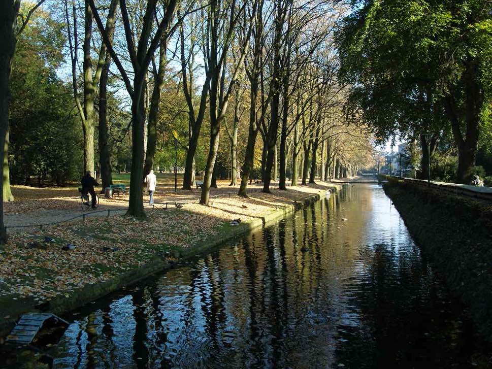 Green park with trees and water