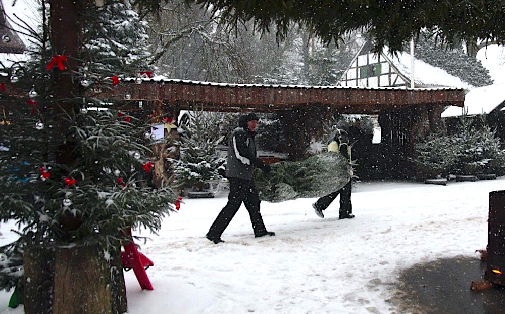 Two guys carrying Christmas tree through snow