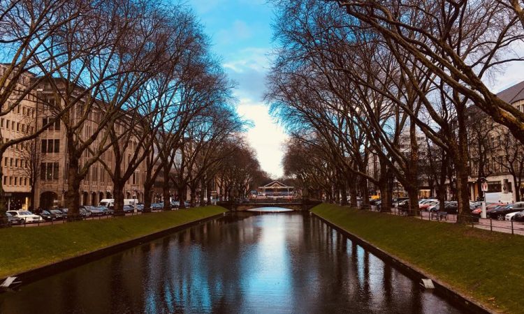 A city canal with trees