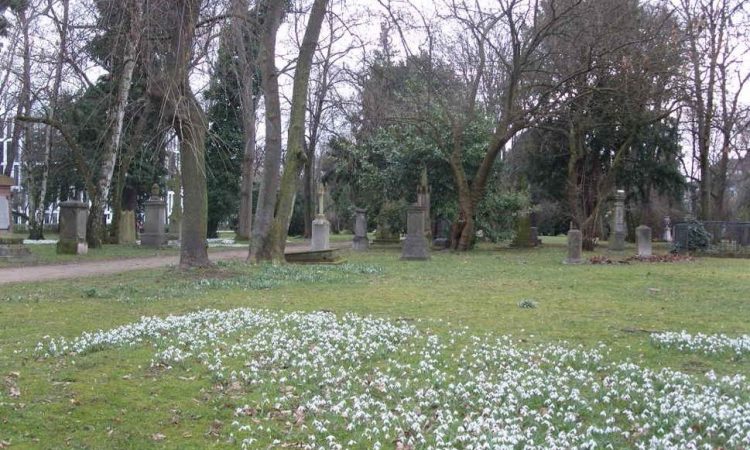 Gravestones in cemetery and flowers
