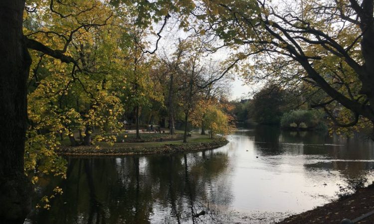 Green park with trees and water